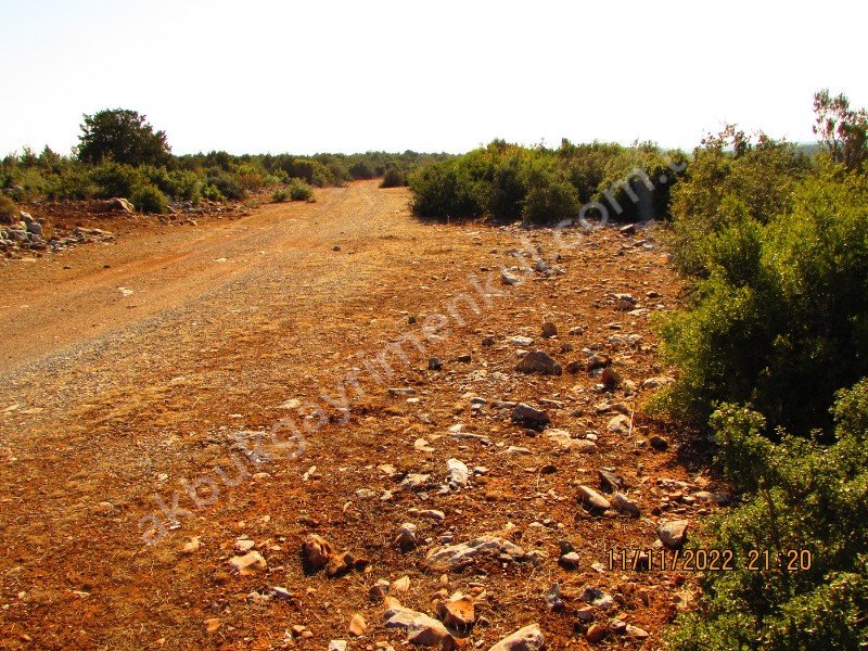 DİDİM AKYENİKÖYDE SATILIK İMARLI KÖŞEBAŞI ARSA